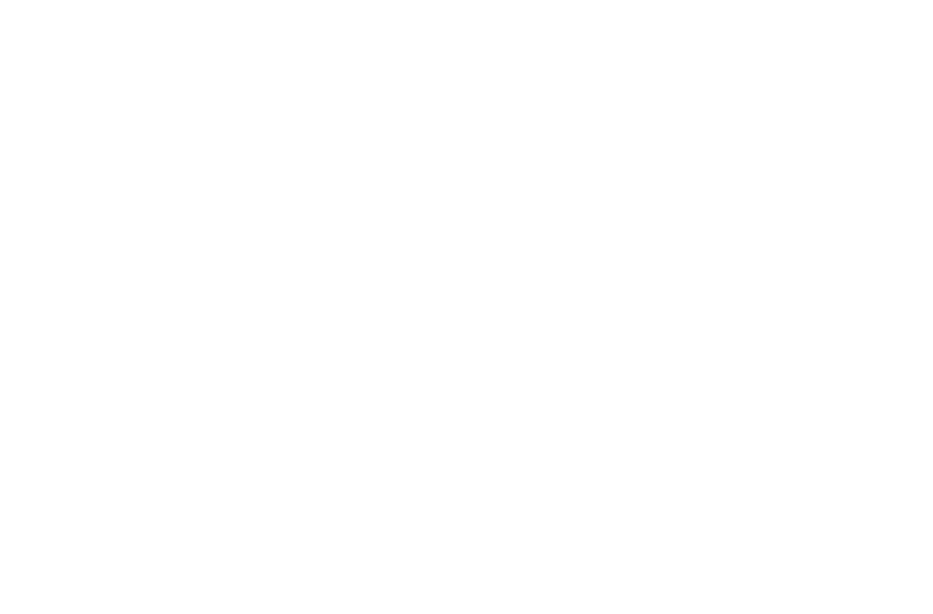 Williams Executive Search Solutions, Inc. Logo